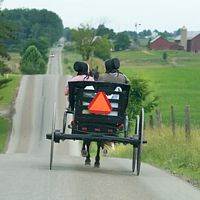 Amish Stores & Tours